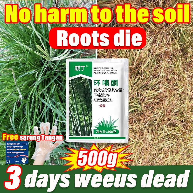 HQ] Herbicide to kill tree,hexazione which can effectively kill big trees, tree killer chemical 500g,cycloazinone herbicide racun rumput cepat mati  racun pokok besar | Shopee Malaysia