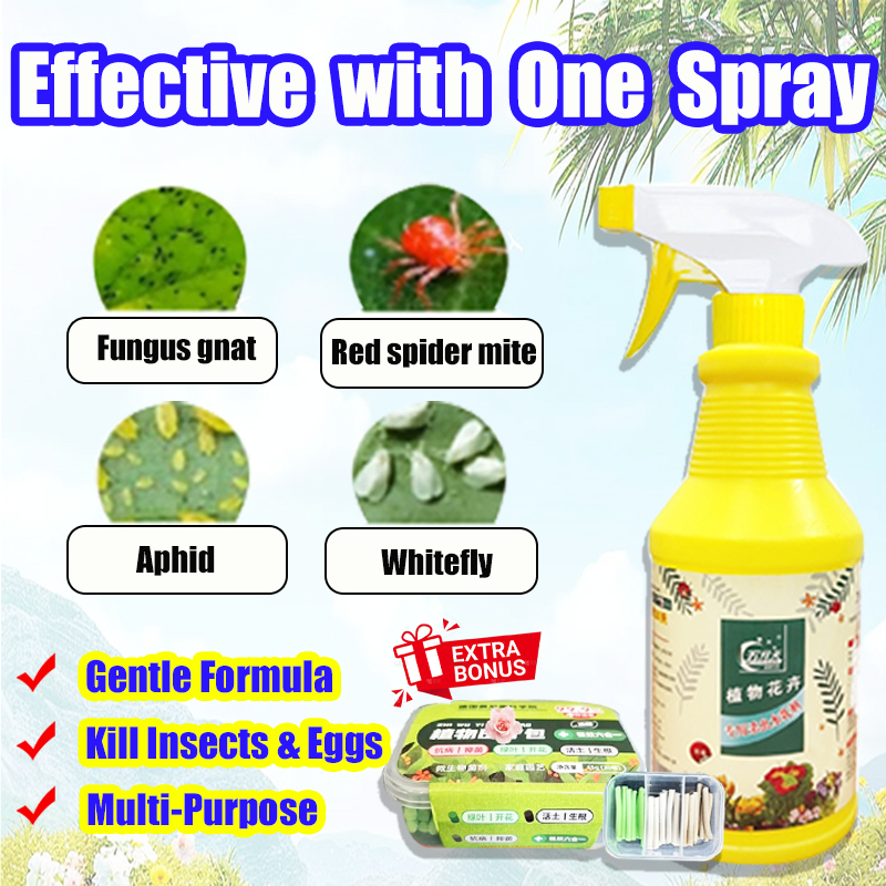 Effective with One Spray racun serangga tanaman neem oil for plant ...