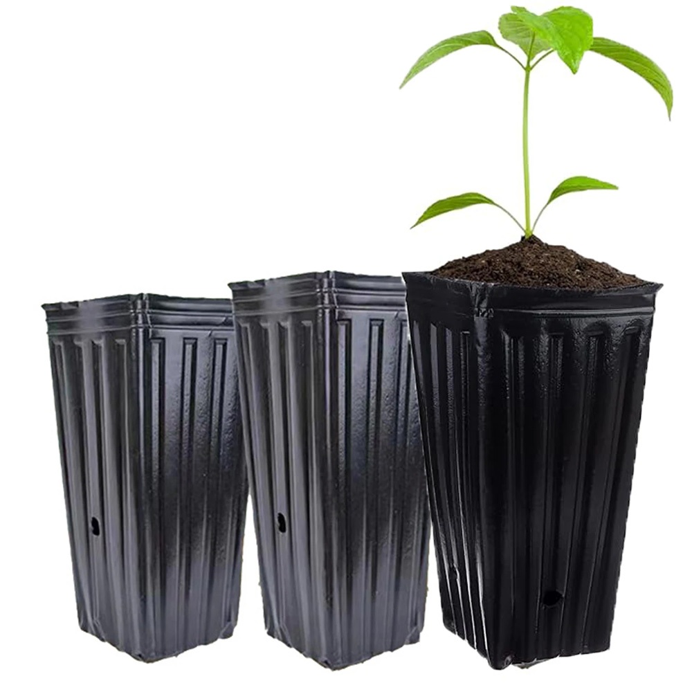 Tall Deep Tree Pots, Plant Nursery Tall Flower Plant Containers ...