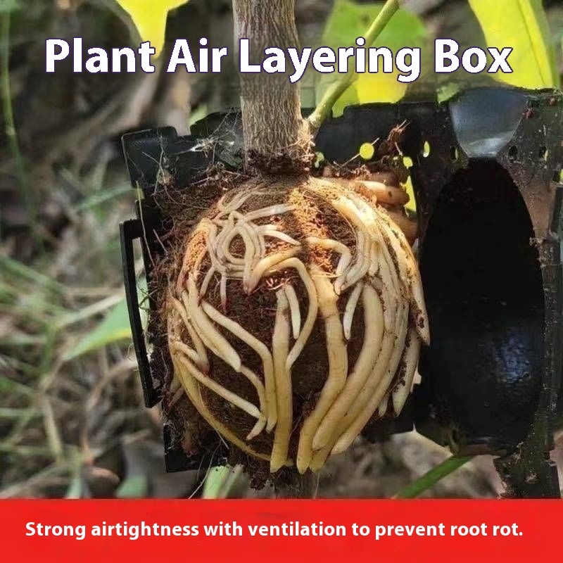 Fruit trees, bonsai, plants, flower and wood branch rooting device ...
