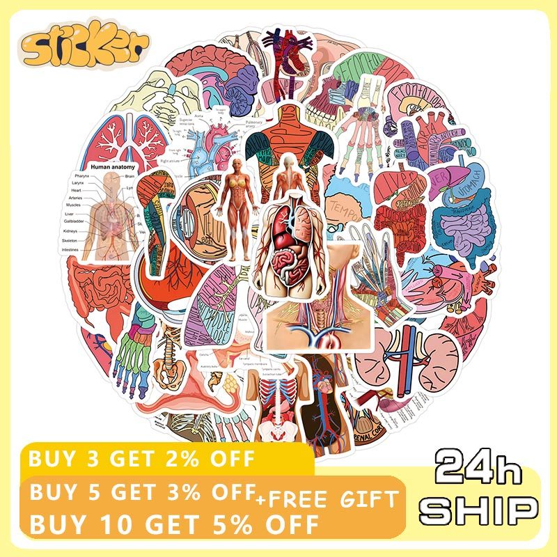 63PCS Human Anatomy Cartoon Stickers DIY Toys Suitcase Fridge Laptop ...