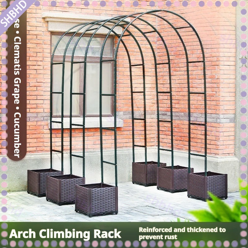 Climbing Bracket Rod Rose Grape Iron Line Lotus Rose Courtyard Garden ...
