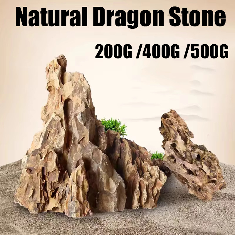Ohko Dragon Stone Clay-Based Rock Ohko Stone Aquascaping Landscaping ...