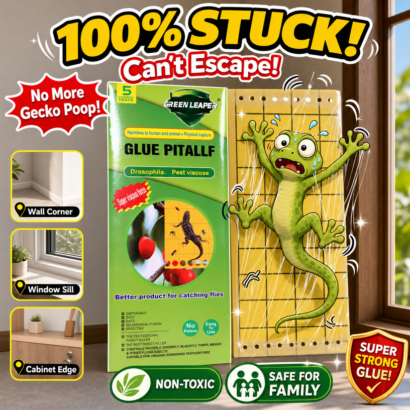 10 Pcs Lizard trap ioo Lizard (Cicak/Gecko) Sticky Smart Trap / Lizard ...
