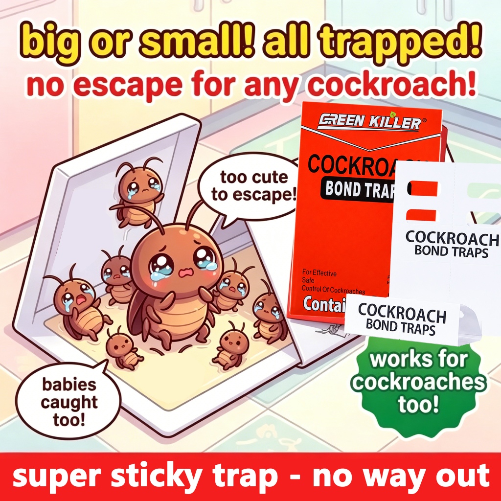 Cockroach trap house SG Cockroach killer Cockroach trap Cockroach ...