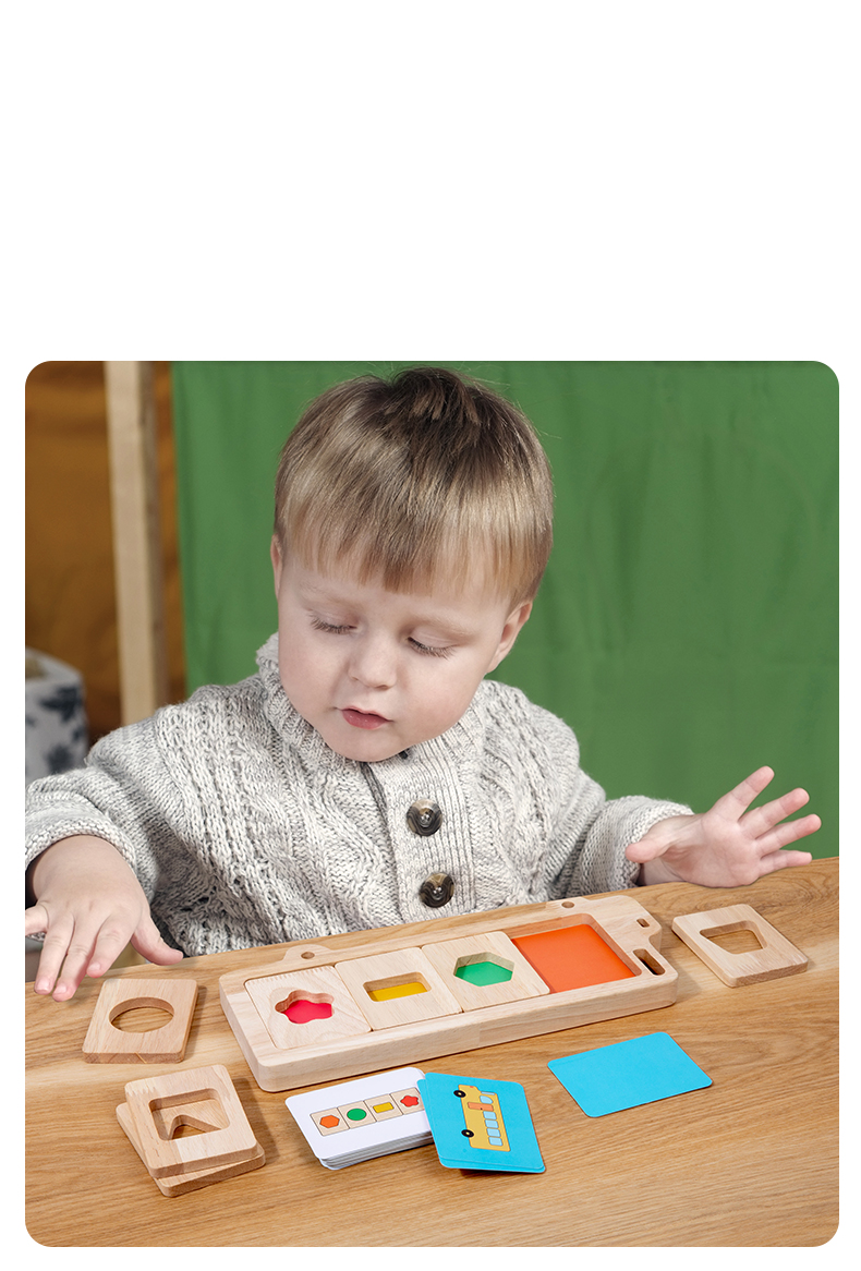 Montessori Geometry Color Separation Puzzle Wooden Toys Sensory ...