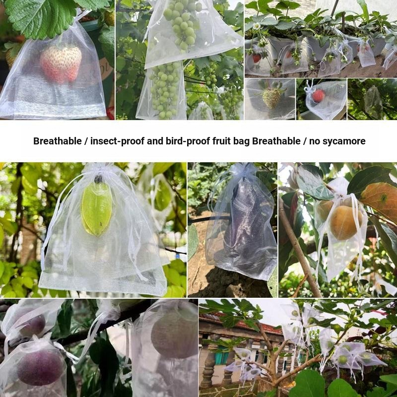 TAROW Reusable Netting Bags Mosquito Bug Insect Bird Nylon Net Barrier ...