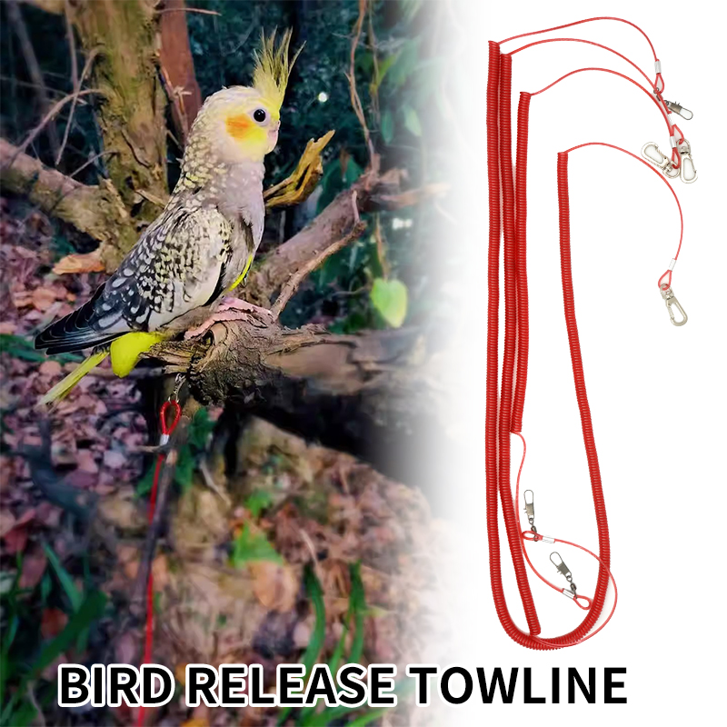 【Ready stock】Quality Bird Flying Training Rope 3M/5M/10M Parrot Dove ...