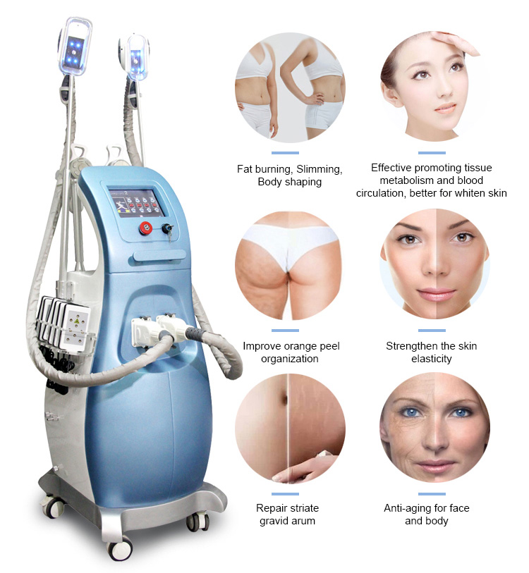 5-IN-1 360 frozen weight loss fat dissolving body carving machine ...