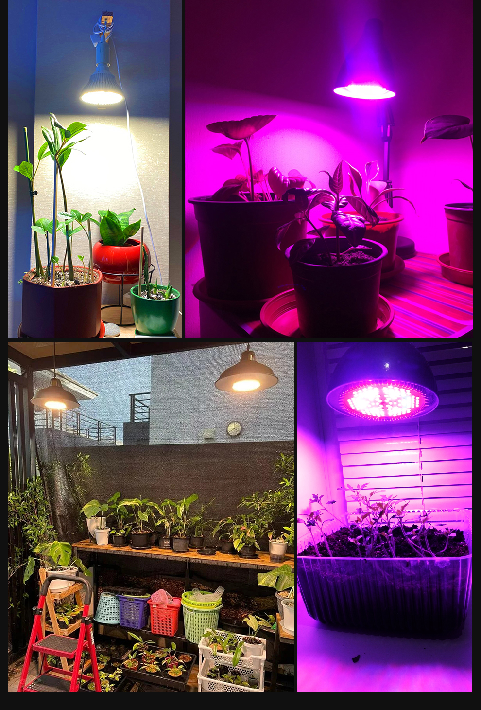 250W LED Grow Light Bulb E27 LED Plant Bulb 200LEDs Sunlike Full ...