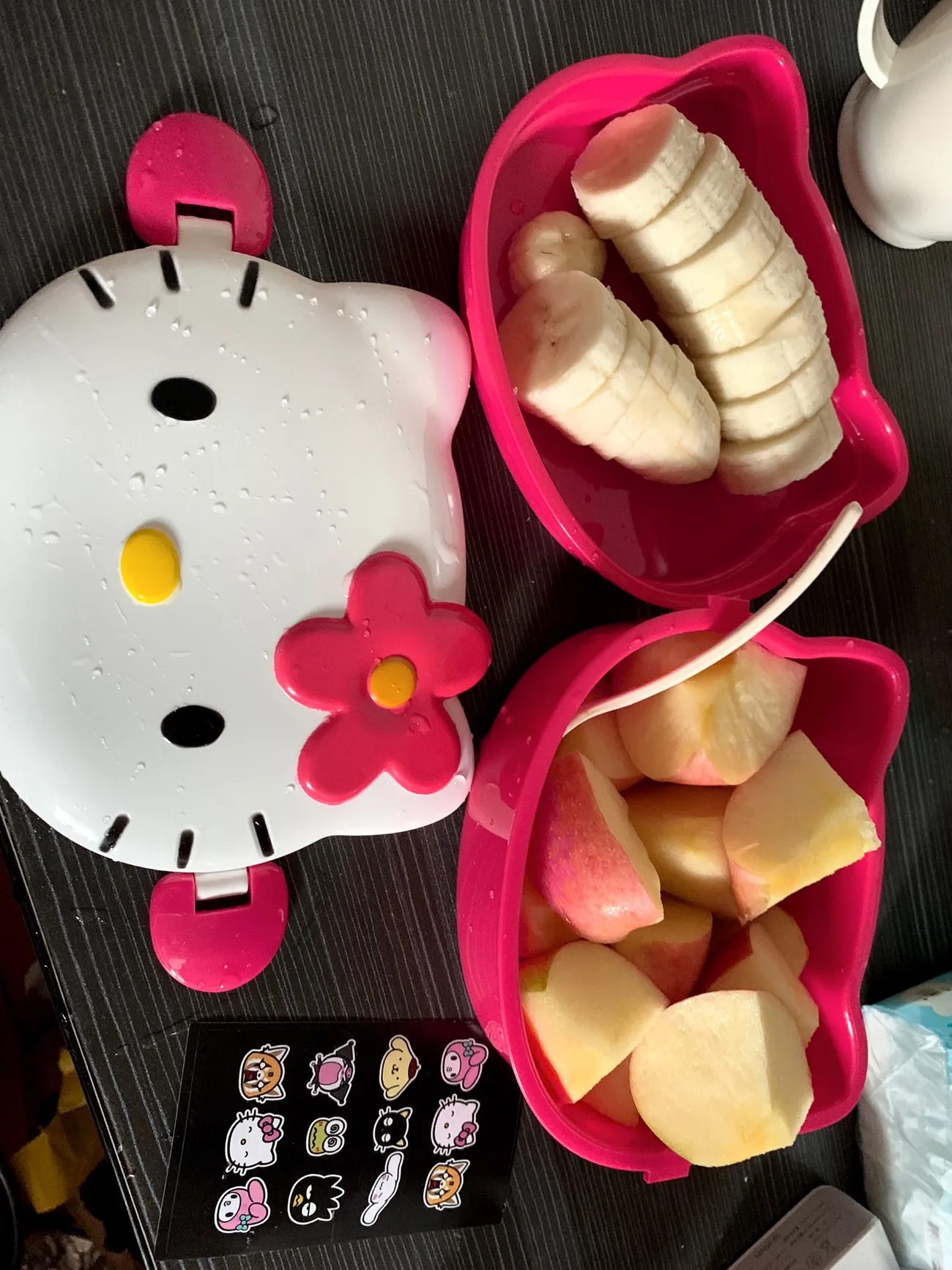 Korean hello Kitty Lunch Box hello Kitty Plastic Lunch Box Cinnamon Dog