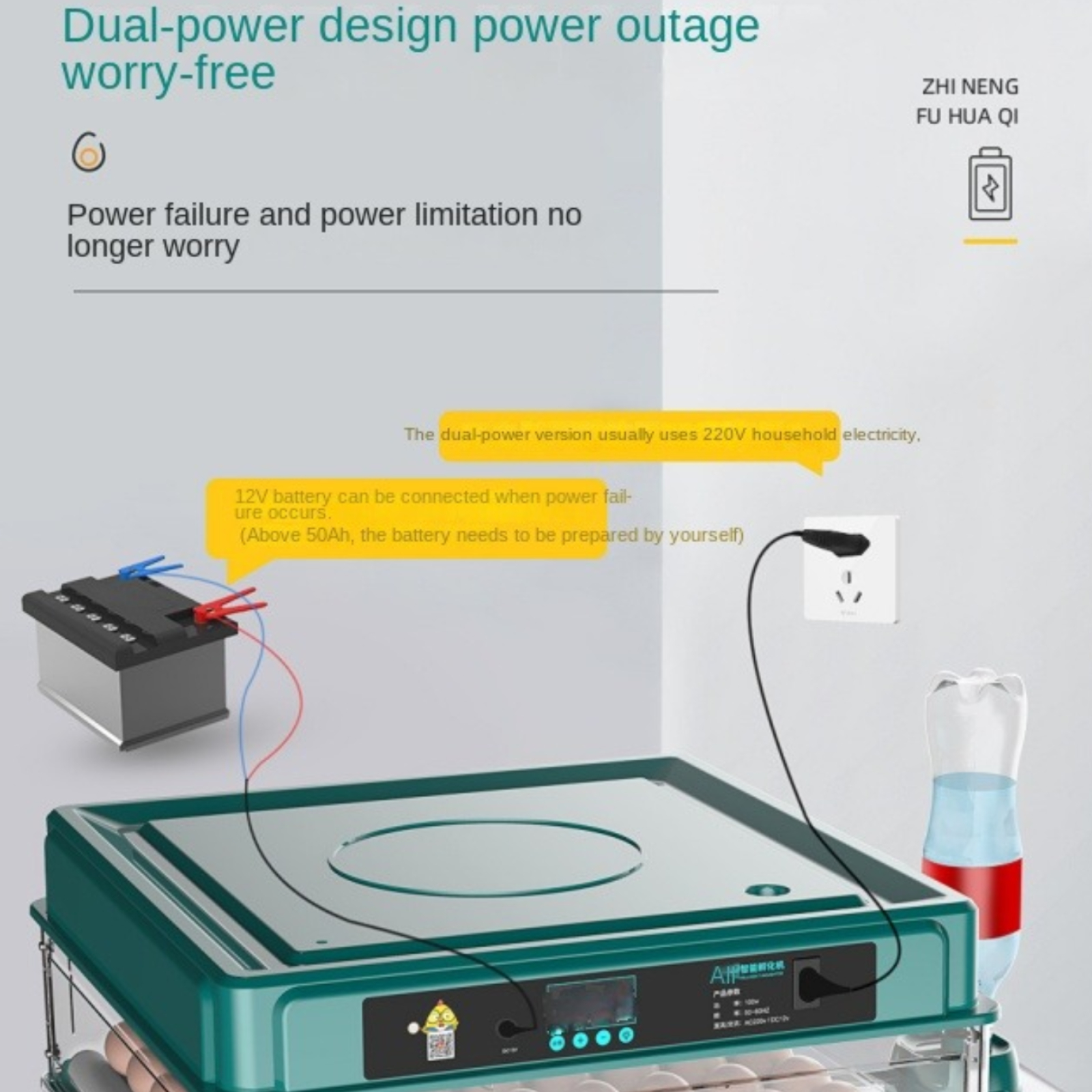 Full Automatic Egg LED Display Chick for Goose Quail Pigeon Hatching ...