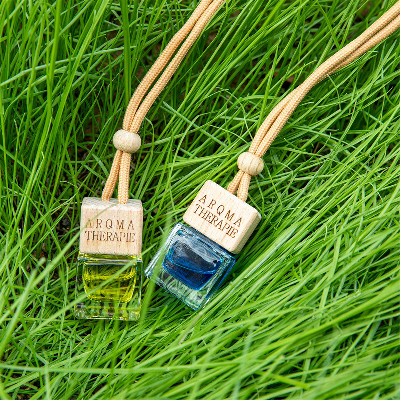 Home Fragrance Car Air Fresherner Aroma Diffuser Hang Rope Car Perfume ...