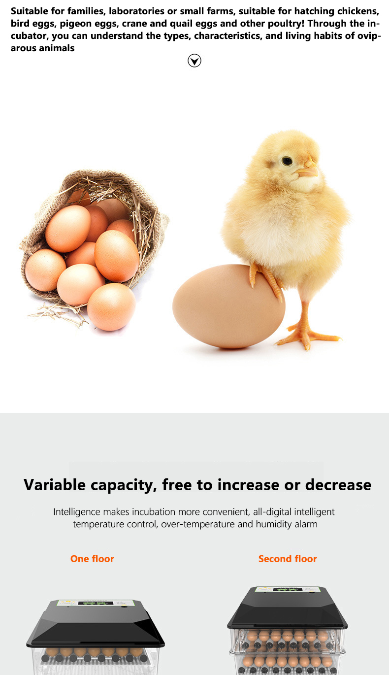 Egg incubator automatic full set,128 egg brooder digital chicken