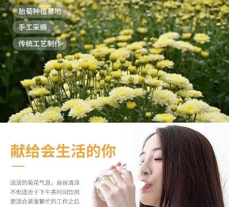 [Anmi Food] 正宗特选桐乡胎菊清肝明目杭白菊清热降火菊花茶胎菊王 Grade A Chrysanthemum Buds Bunga ...