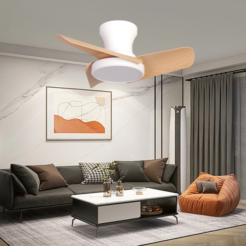 【VITALITY】24" 32" Ceiling Fan With Light DC Motor Mini Ceiling Fan in