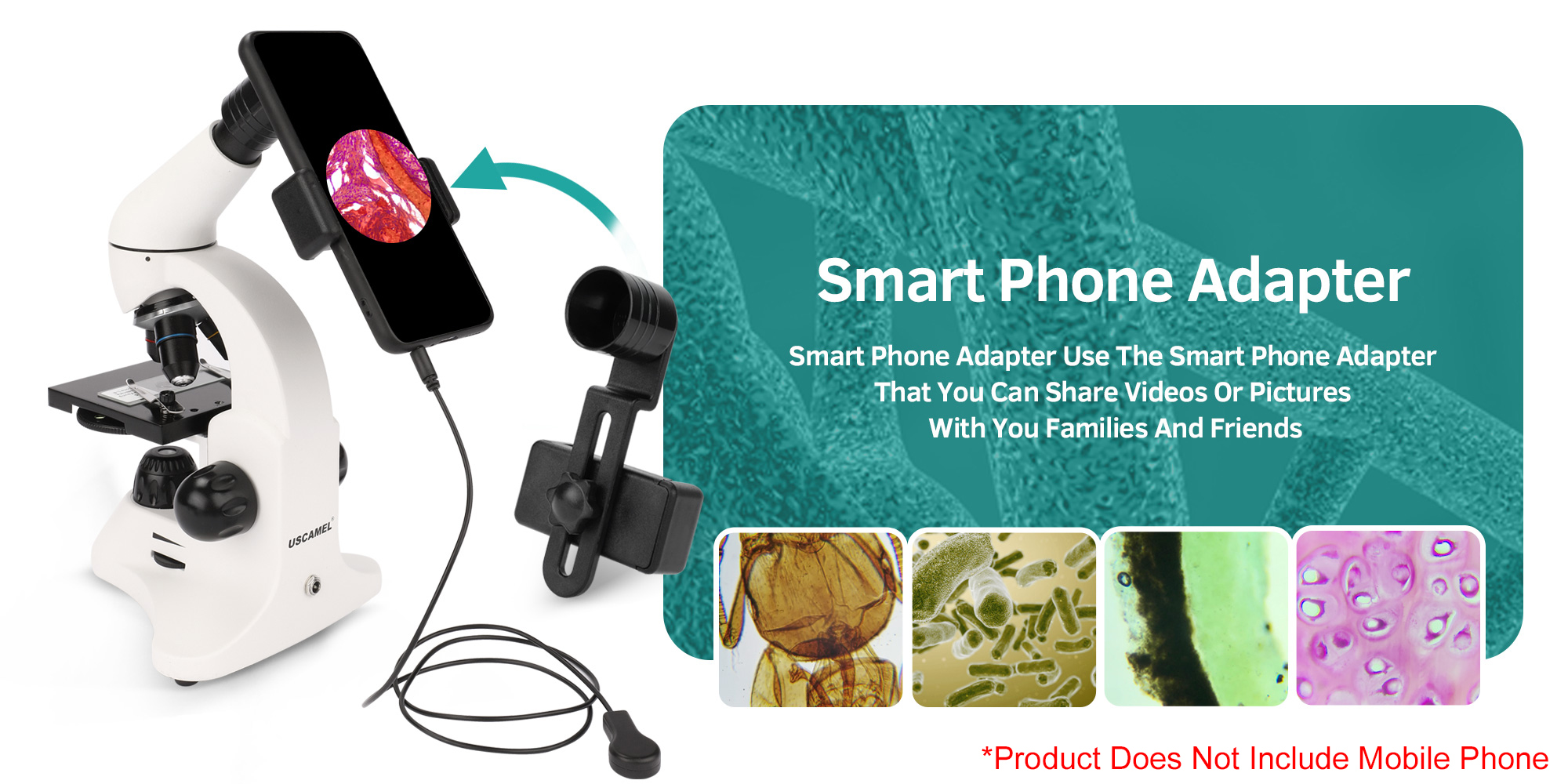 USCAMEL 40x-2000x Biological Microscope Beginner Microscope Lab Kit ...