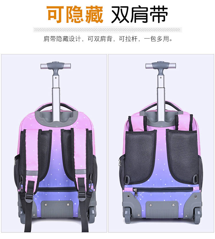 Trolley Backpack 2 Wheel Luggage Bag Trolley School Bag Girl Boy Large ...