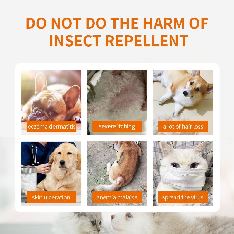 PUAINTA Cat Flea Spot On Solution for Dog Ticks Pet Anti Flea Medicine