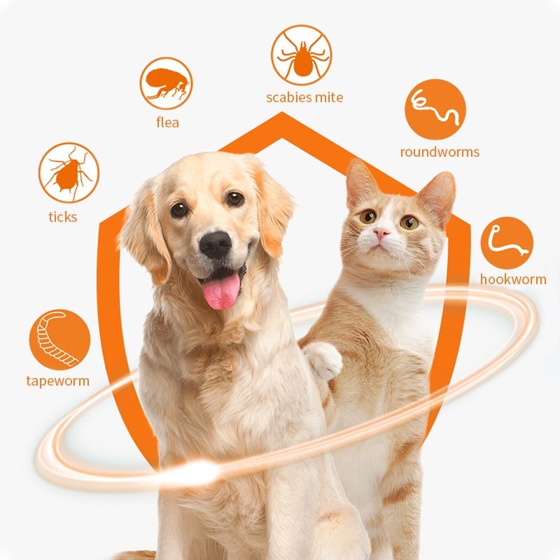 PUAINTA Cat Flea Spot On Solution for Dog Ticks Pet Anti Flea Medicine
