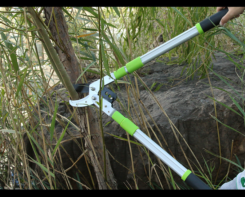 Portable garden scissors Effortless and scalableHigh Rough Branch ...