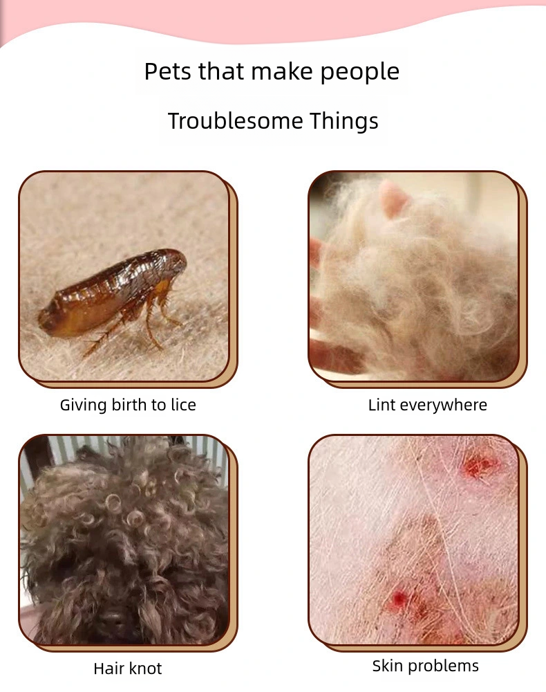 Photo inspiration: Fresh Look at Pet Flea Lice Comb Double Sided Fine Toothed Dog Cat