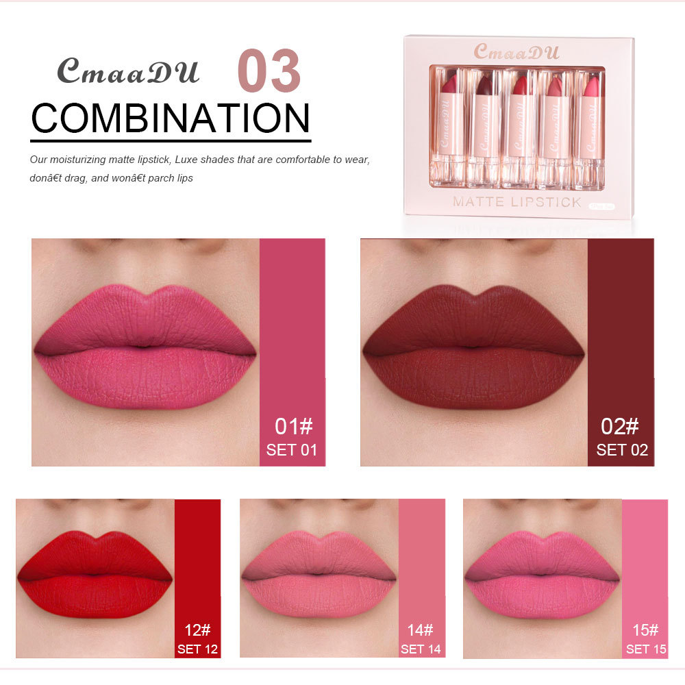 CmaaDu Lipstick Set Lipstick Lip Gloss Matte Moisturizing，Long-lasting ...