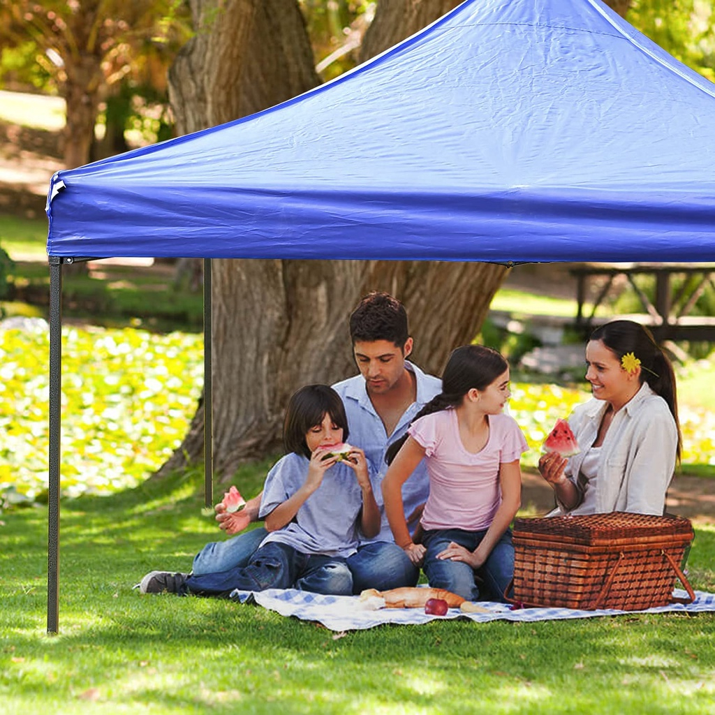 【Ready Stock】Canvas Only 10'X 10'And 8'X 8'Roof Canopy 80cm Express ...