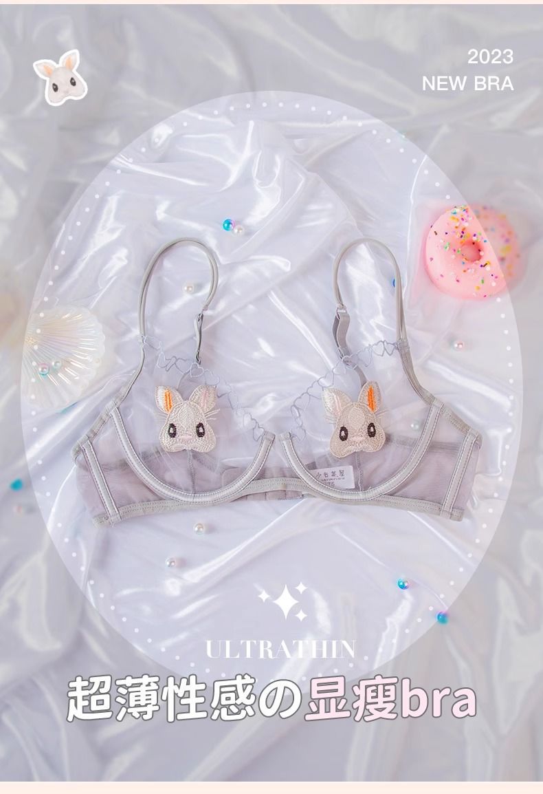 Sexy Cute Rabbit Embroidered Lace Ultra-Thin Frameed Underwear Women ...