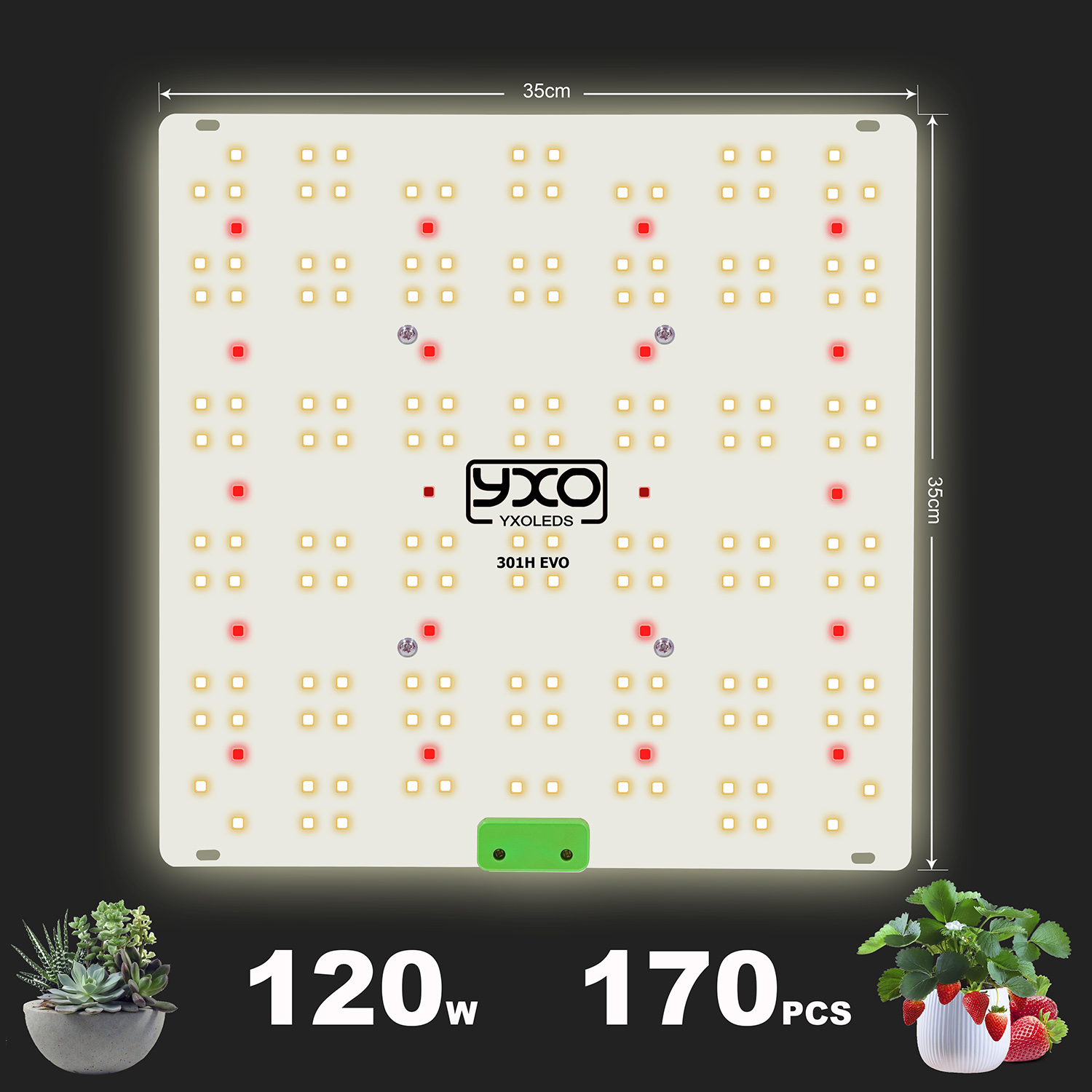 Quantum board 65W 85W 120W SamsungLM301H EVO Full spectrum led grow ...