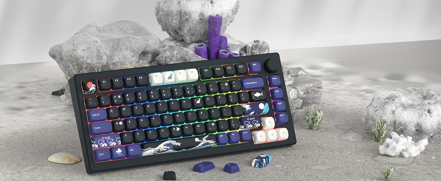 WOMIER Black Coral Sea Keycaps, 130+ Keys MOA Custom Key Caps for ...