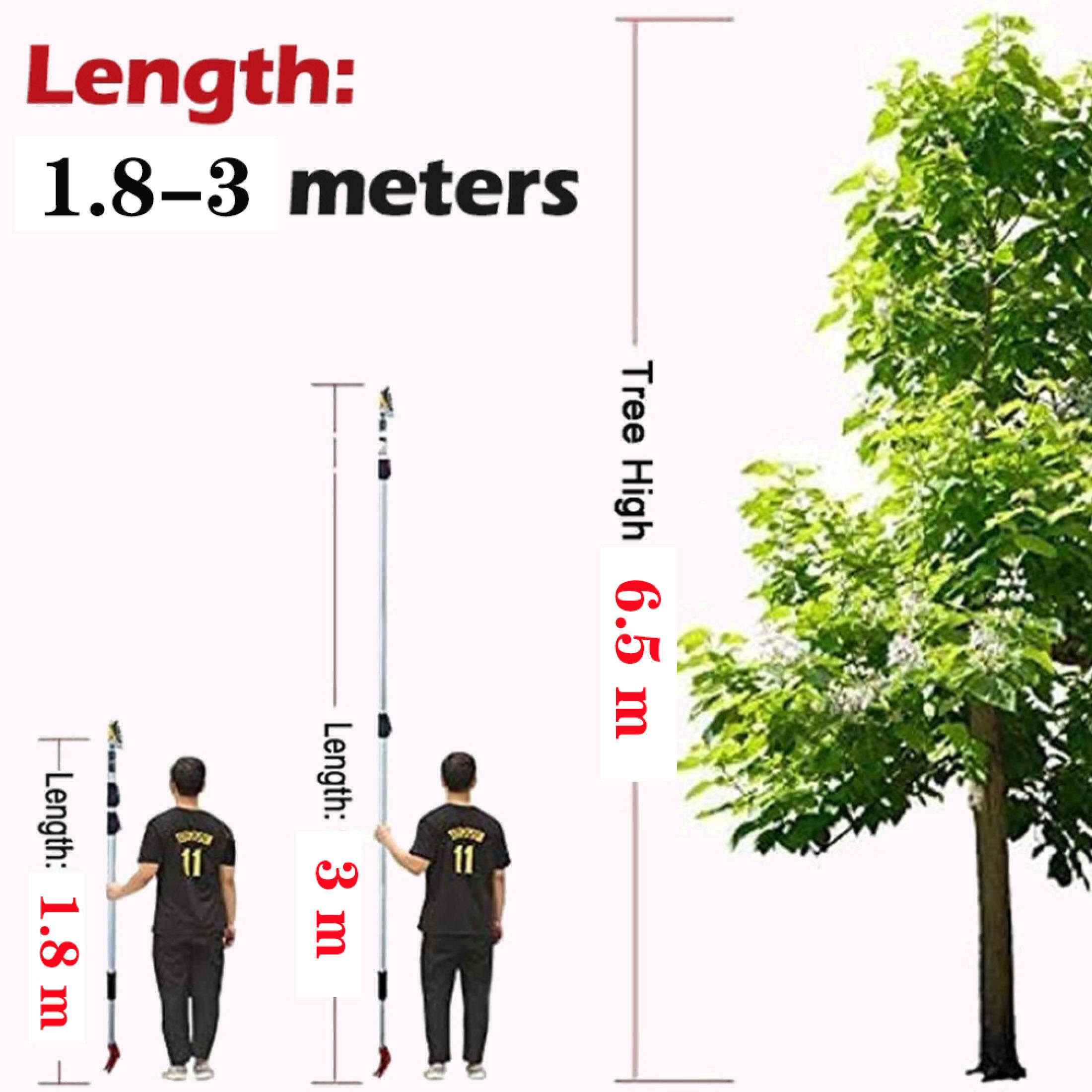 Fruit Picker Tool 6 Feet Cut and Hold Tree Pruner, 1.8-3 Meters ...