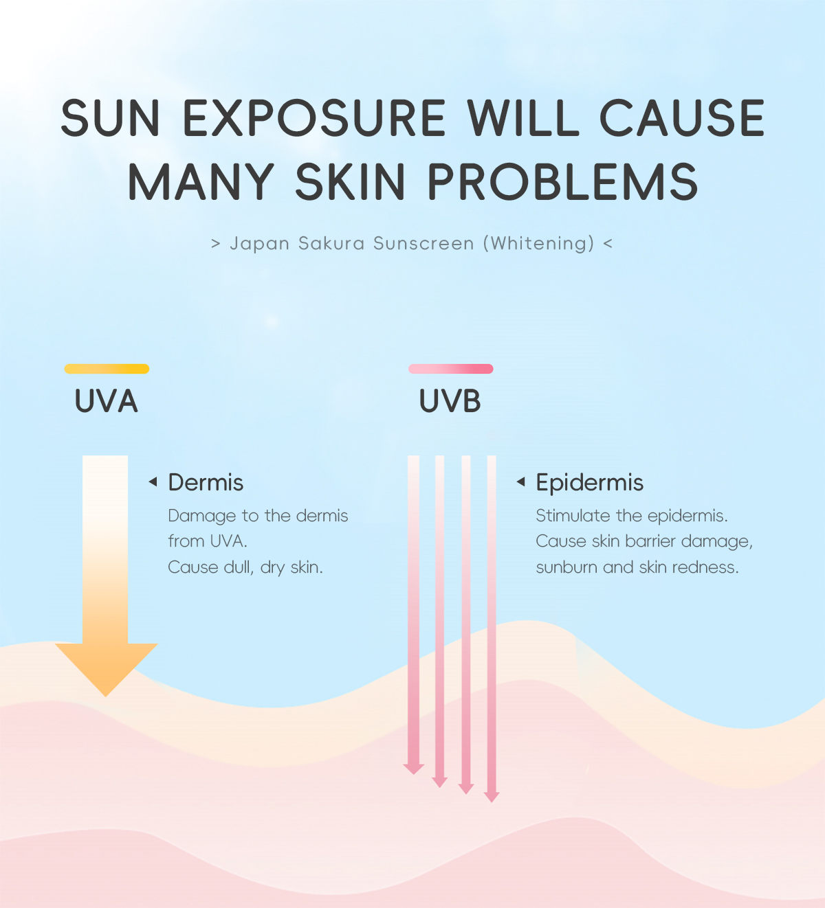 Sakura Sunscreen Cn 11134208 7R98O Lykh9Kzq9Gv6Bc