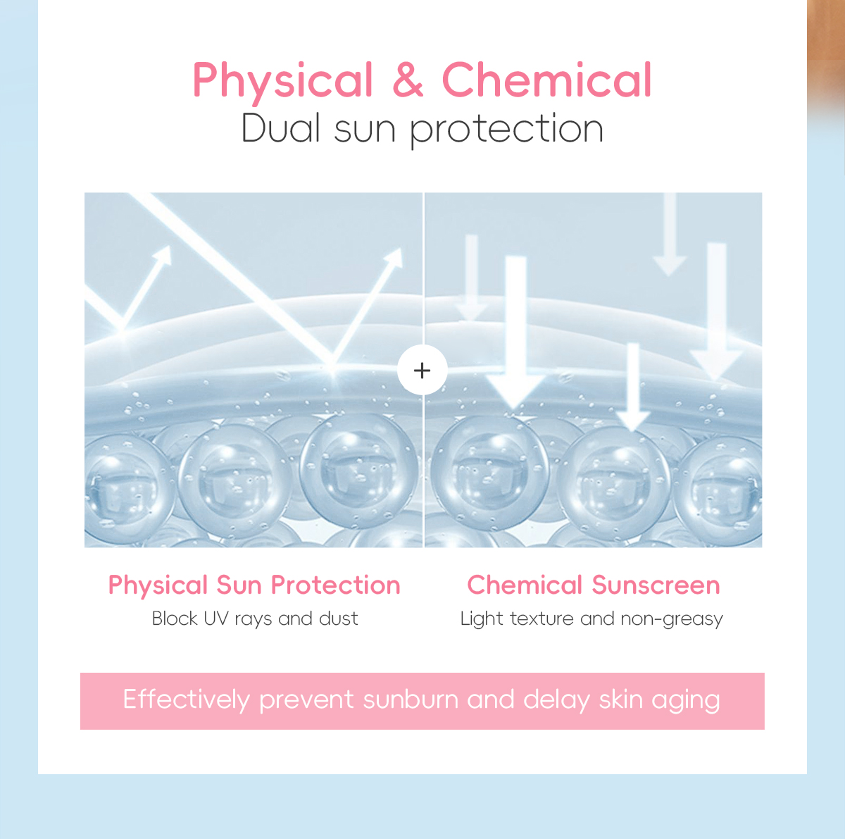 Sakura Sunscreen Cn 11134208 7R98O Lykh9Kzqdokida
