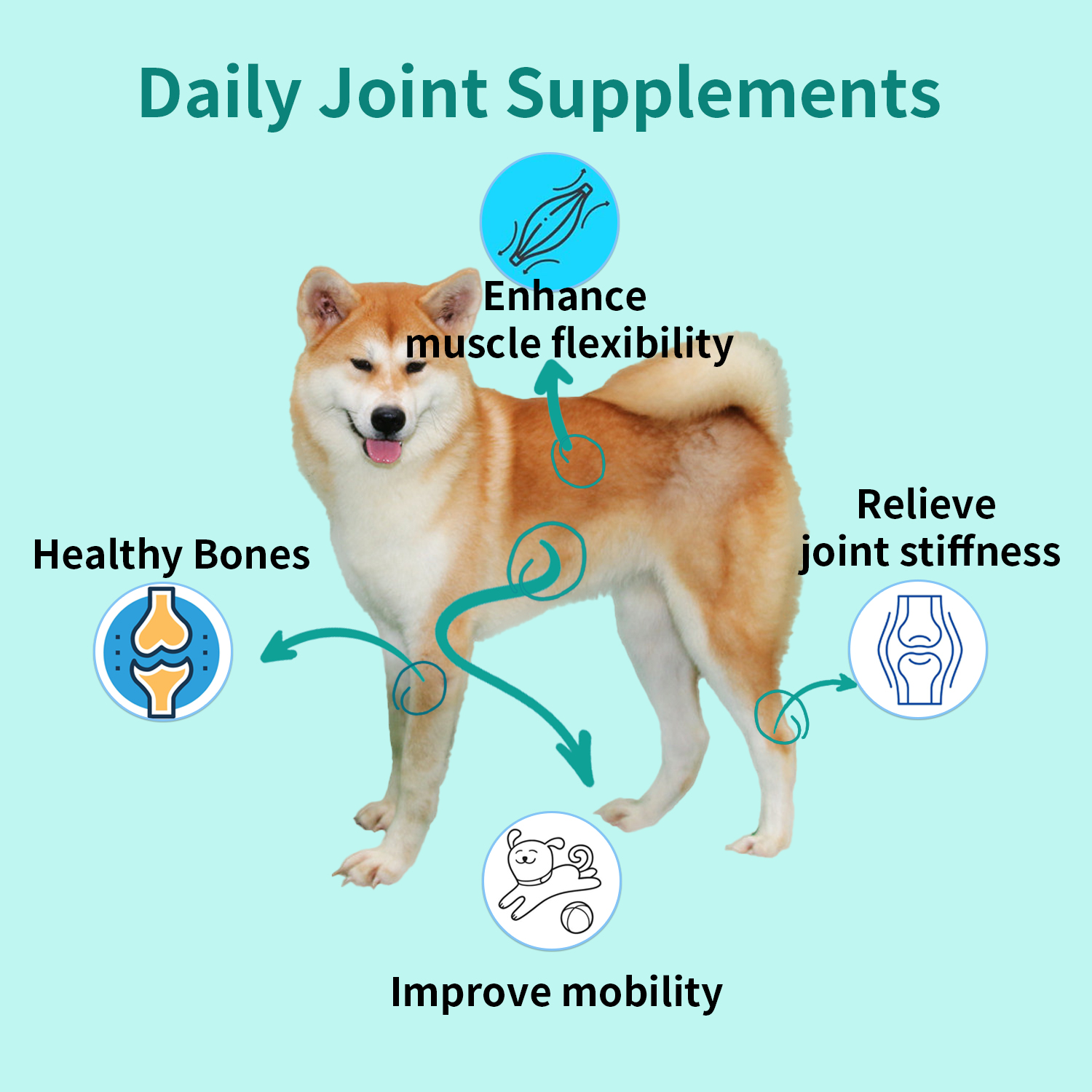 Tovitar® hip and Joint pet Supplement for dogs and cats for joint pain