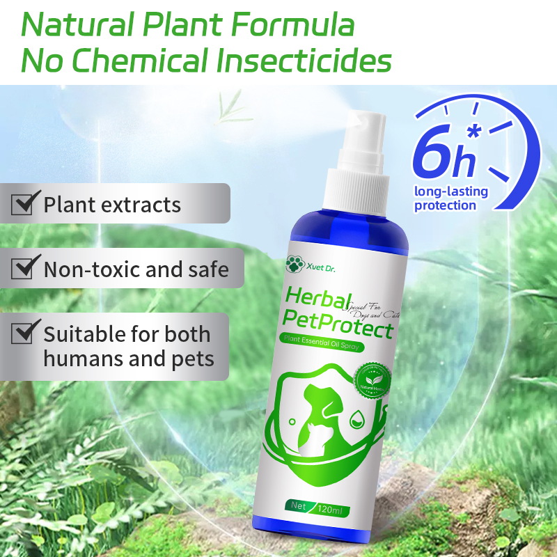 Curated visual reference: Cinnamon Essential Oil For Cat Flea Repellent Reference: Xvet Dr Repel Flea Lice Mosquitoe Plant Essential Oil Spray