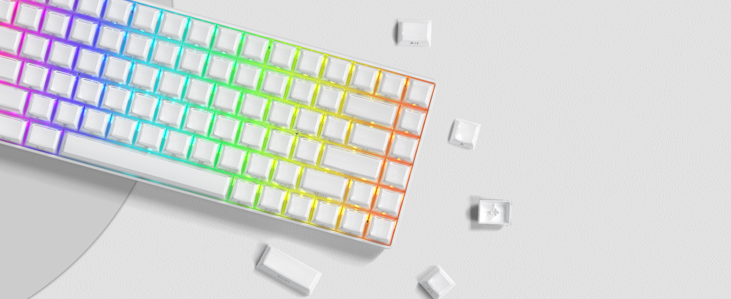 WOMIER 113 Keys Crystal Jelly Keycaps Side Printed OEM Profile Custom ...