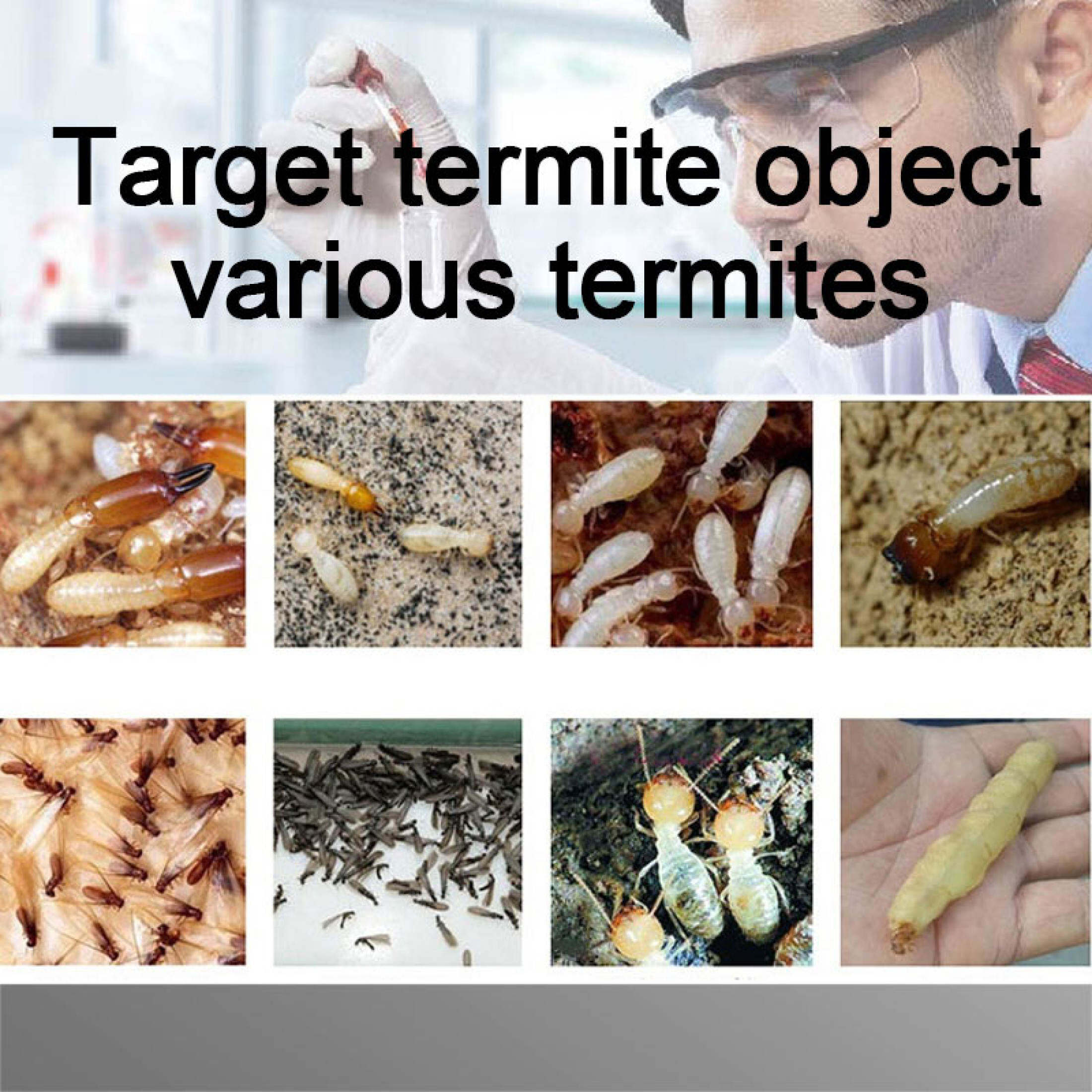 Termite Killer Bait Powder 75g Insecticide Bait Repeller Poison High ...