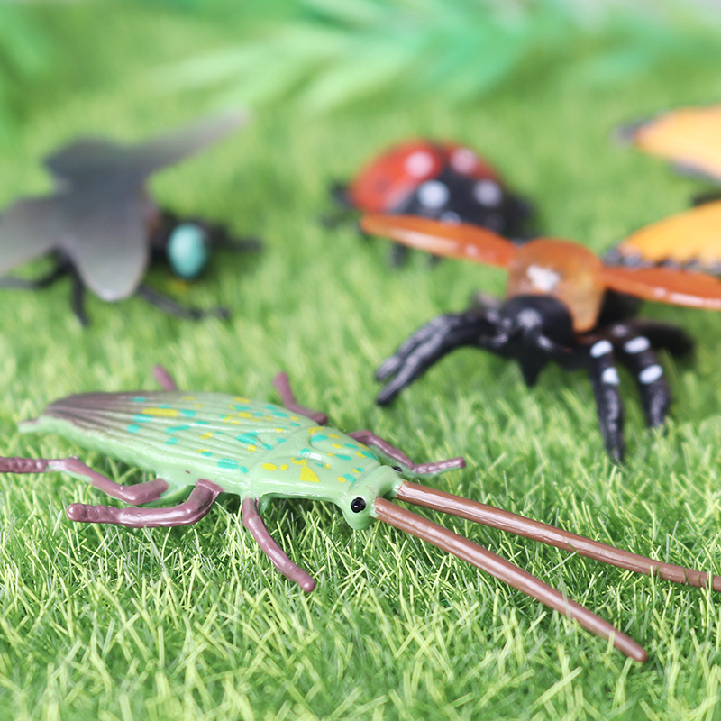 Children simulation insect wild animal model mini butterfly cockroach ...