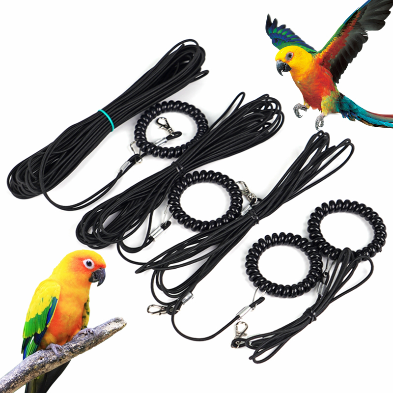Pet Bird Outdoor Training Harness Rope Bird foot Chain Parrot Anti ...
