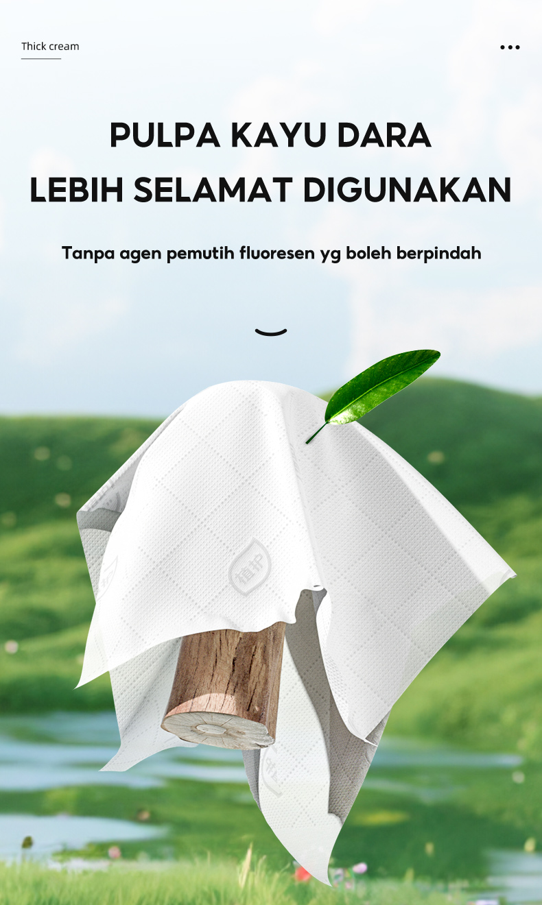 [3 pcs]Botare Air Cushion Tissue Deluxe Soft Pack Facial Tissue Large 4 ...