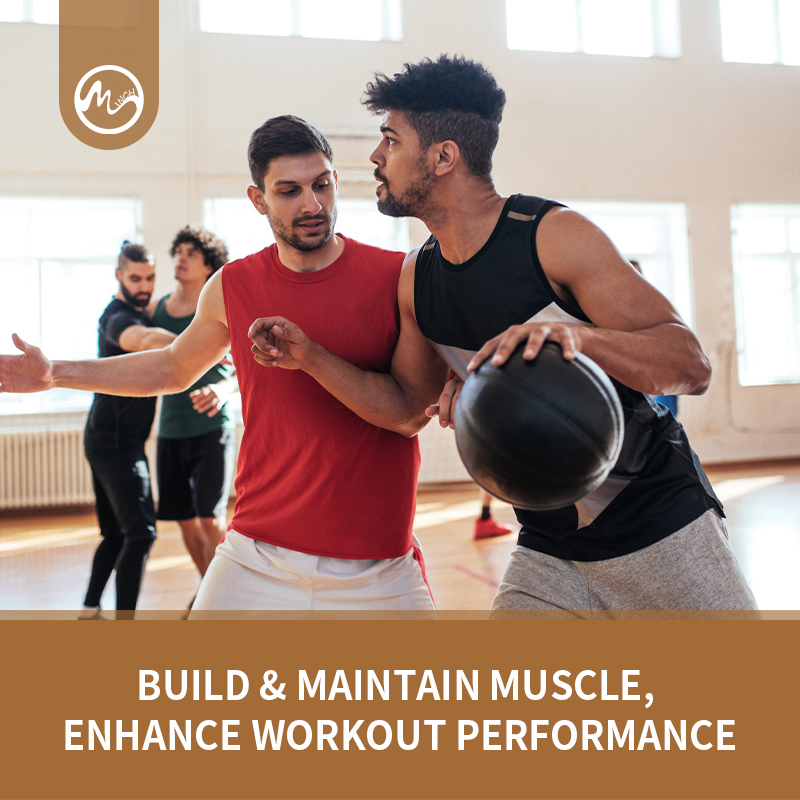 Minch WHEY PROTEIN Powder Chocolate Flavor Improves Athletic