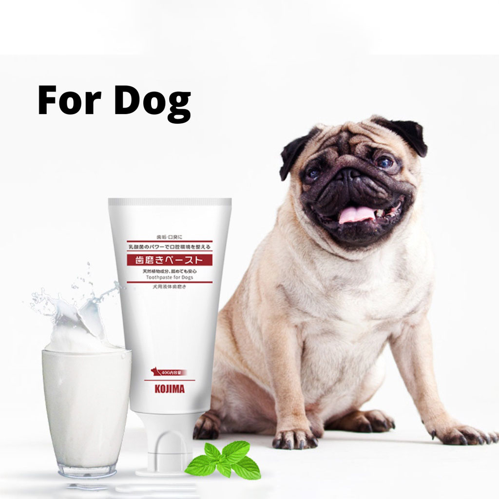 KOJIMA Pet Toothpaste Milk Flavor Edible Dog Toothpaste Cat Toothpaste ...