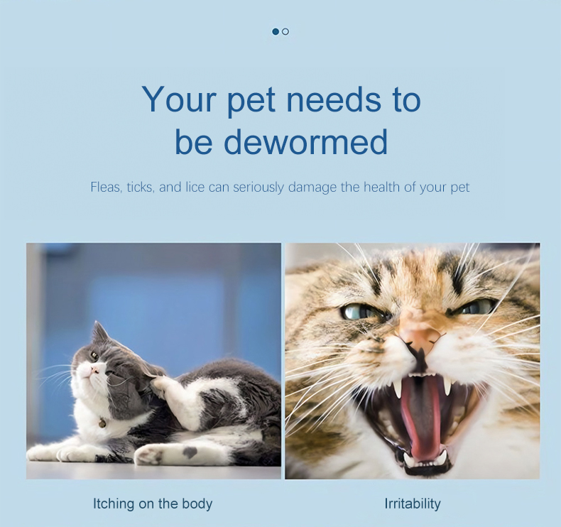 Dr.WR Dog Cat Flea & Tick Killer Spray Ubat Kutu Kucing100ml Outdoor