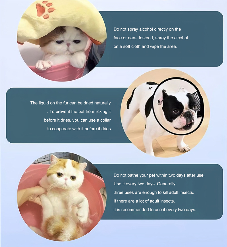 Dr.WR Dog Cat Flea & Tick Killer Spray Ubat Kutu Kucing100ml Outdoor