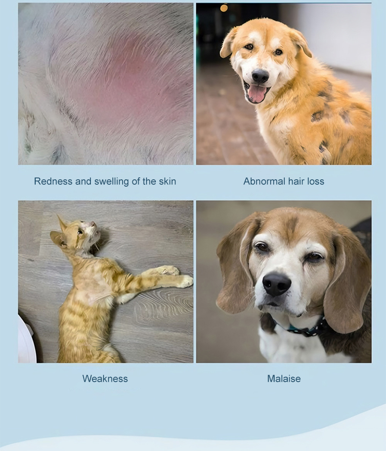 Dr.WR Dog Cat Flea & Tick Killer Spray Ubat Kutu Kucing100ml Outdoor