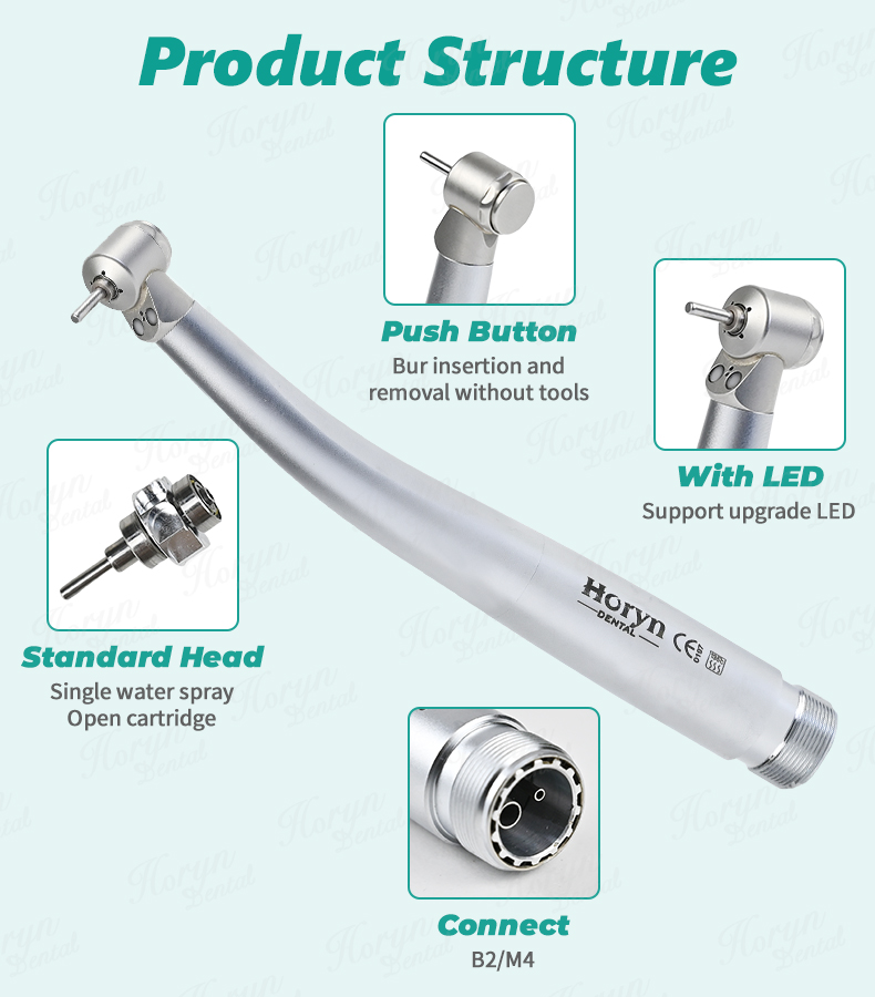 HORYN Dental Small Head Double LED Mini Head High Speed Handpiece for ...