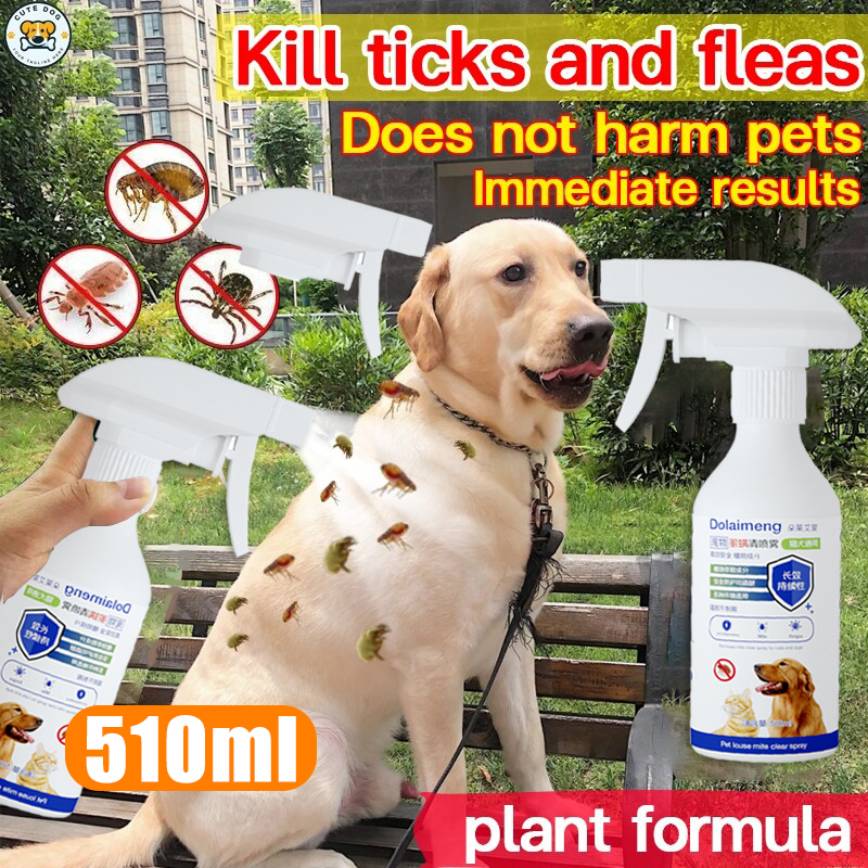 Insect repellent rate 99% Flea and tick spray 510ML Flea spray cat flea ...