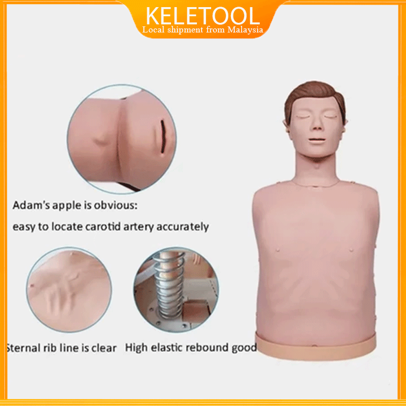 cpr manikin Half Body Medical Adult CPR Nursing Manikin Model Training ...