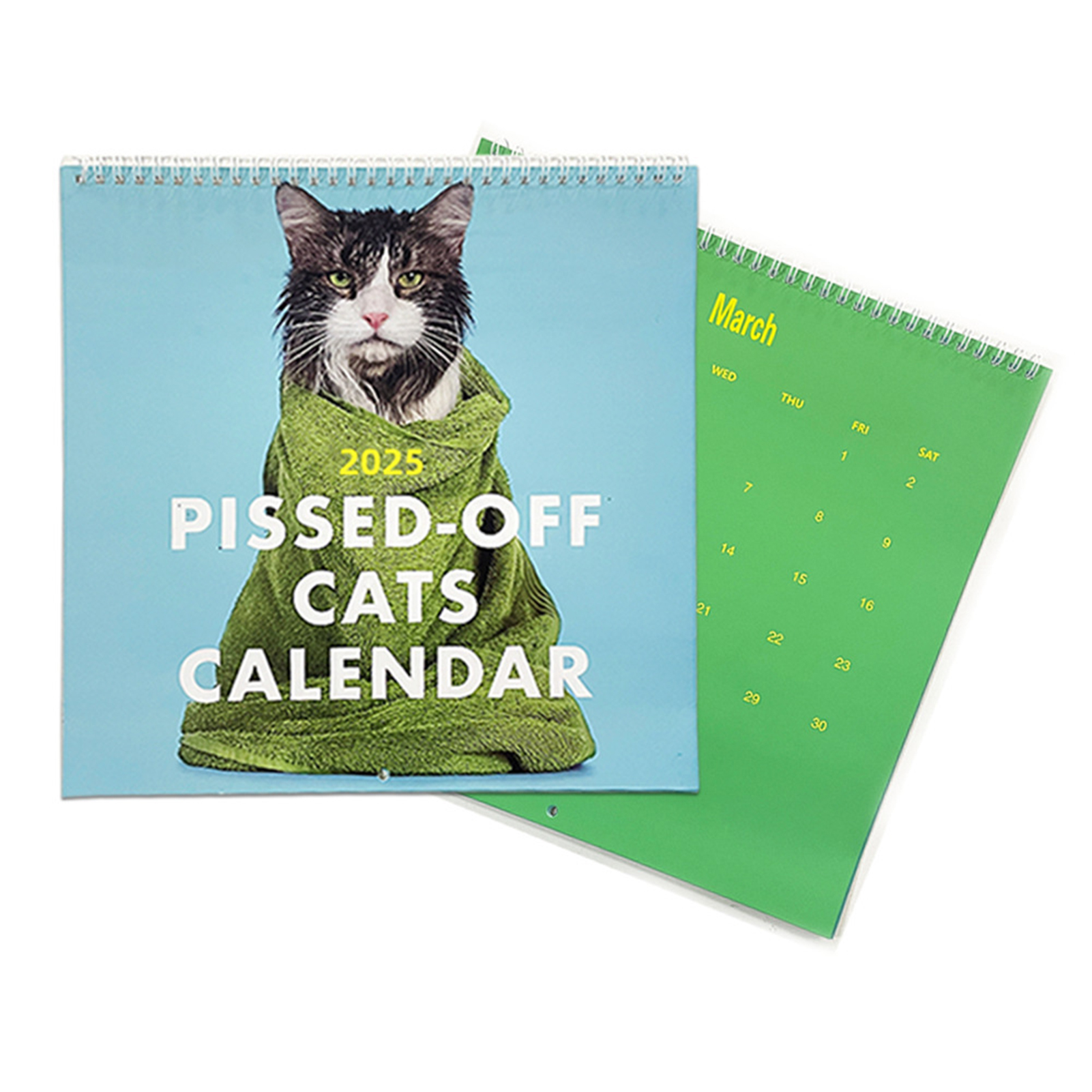 Angry Cats 2025 English Calendar Pissed Off Cats Calendar 2025 Desk